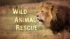 Wild Animal Rescue (2017)
