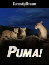 El puma (1959)