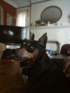 Sarah's Stories (2008)