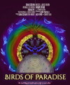 Birds of Paradise (2017)