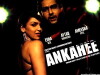 Ankahee (2006)