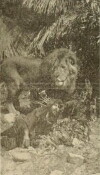 The Mysterious Man of the Jungle (1914)