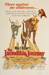 Die unglaubliche Reise (1963)