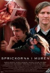 A Breach in the Wall (2003)