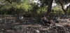 Black Stone (2015)
