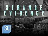 Strange Evidence (2017)