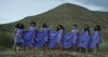 Solange: Cranes in the Sky (2016)