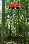 Finding It (2018)