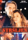 The Hornet (1998)