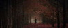 The Dream Called Life (2018)