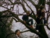 Something Wicked This Way Comes (1972)