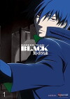 Darker Than Black: Gemini of the Meteor (2007)