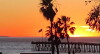 Sun Set Ventura (2016)