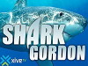 Shark Gordon (2000)