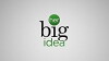 Her Big Idea (2017)