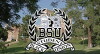 BSU: Black Student Union (2017)