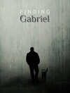 Finding Gabriel (2018)