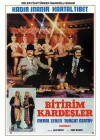 Bitirim kardesler (1973)