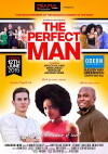 The Perfect Man (2015)