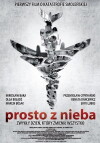 Prosto z nieba (2011)