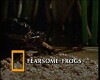 National Geographic Ultimate Explorer (2003)