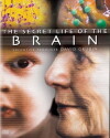 The Secret Life of the Brain (2002)