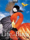 The Life of Birds (1998)