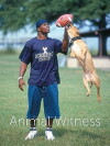 Animal Witness (2008)
