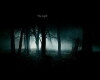 The Light (2016)