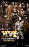 Impact Wrestling: Slammiversary XVI (2018)