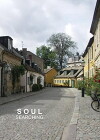 Soul Searching (2018)