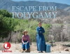 Escape from Polygamy (2013)