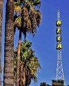 KTLA at 40: A Celebration of Los Angeles Television (1986)