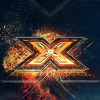 The X Factor (2010)
