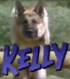 Kelly (1991)