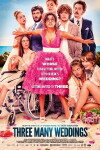 Drei Hochzeiten zu viel (2013)