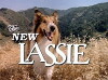 The New Lassie (1989)