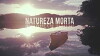 Natureza Morta (2018)