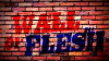 Wall of Flesh (2016)