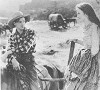 The Thundering Herd (1925)