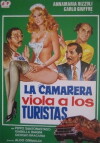 La cameriera seduce i villeggianti (1980)