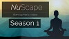 Nu Scape (2017)