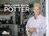 Welcome Back Potter (2016)