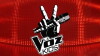 The Voice Kids (2013)