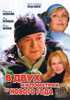 V dvukh kilometrakh ot Novogo goda (2004)