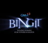 Bingit (2013)