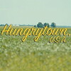 Hungrytown U.S.A. (2016)