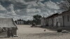 Desert (2017)