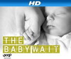 The Baby Wait (2012)