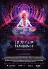 Transience (2016)